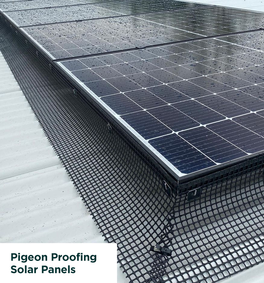 Pigeon Proofing on Solar Panels