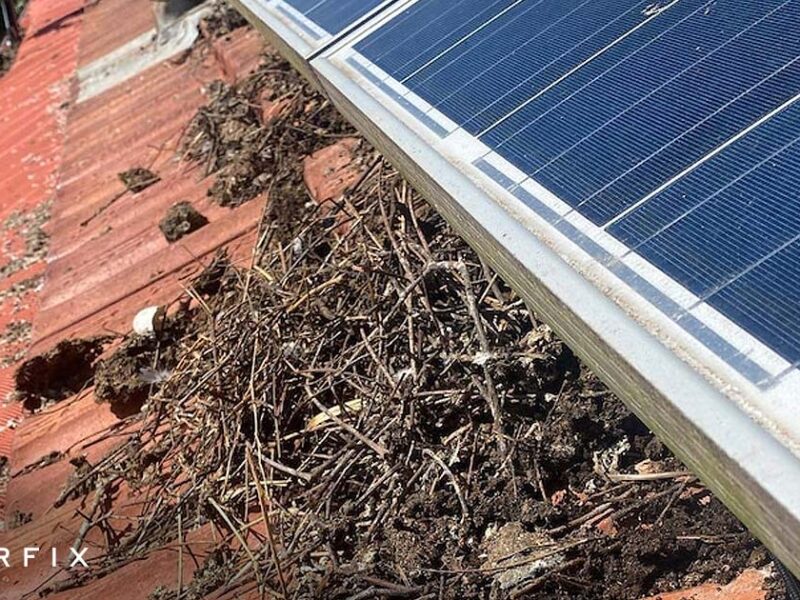 How to prevent Pigeons from nesting under your Solar Panels